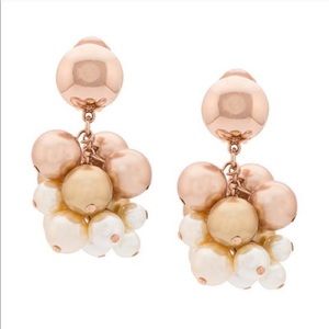 Pearl Rose Vine Clío on Earrings